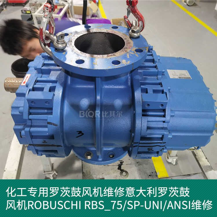 羅茨式鼓風機ROBUSCHI RBS_75SP-UNIANSI 維修 真空泵卡死修理