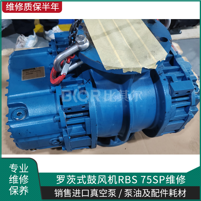 ROBUSCHI羅茨式鼓風機RBS 75SP維修 真空泵卡死修理